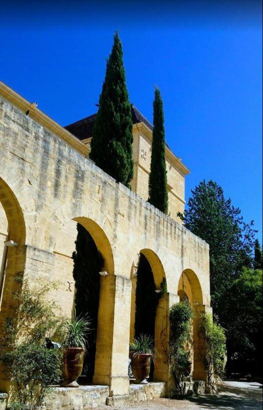Le Nid Castries - Charmant Logement Complet Et Equipe Centre Castries Proche Montpellier Exterior foto